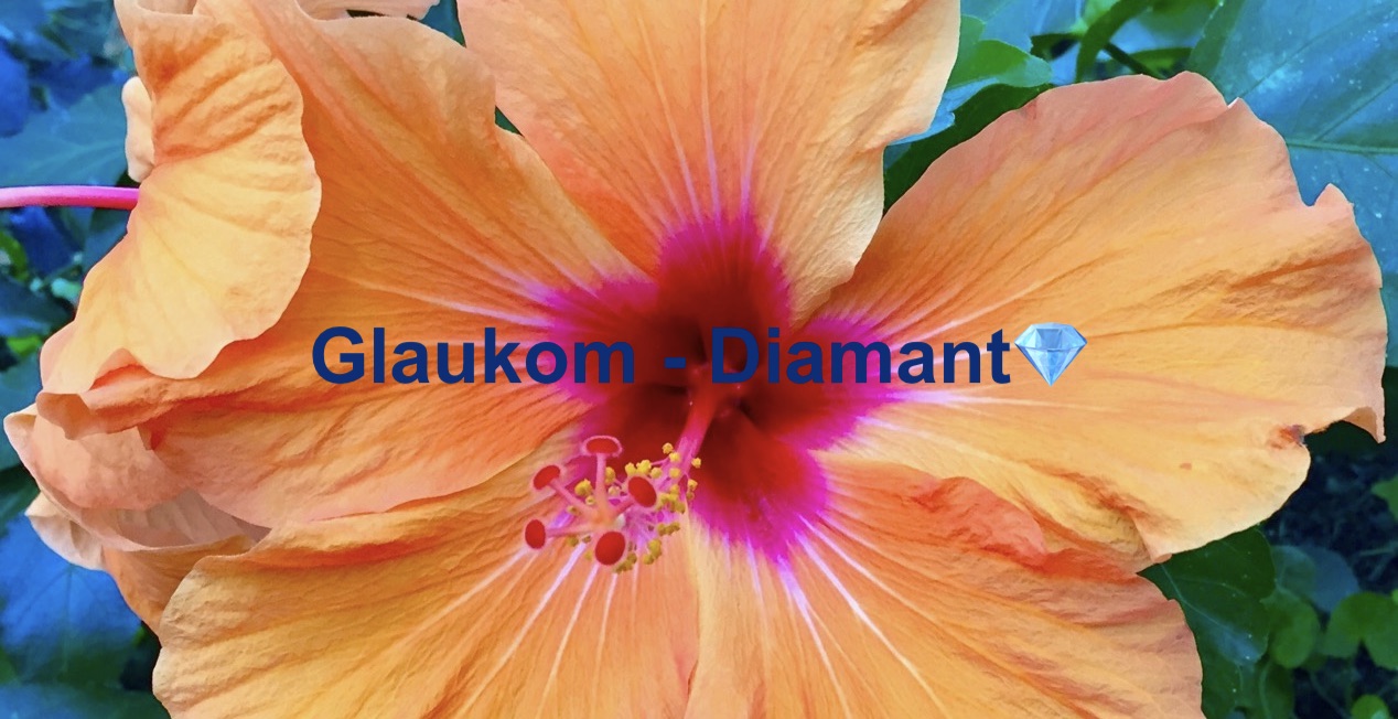 GlaukomDiamant online-Seminar
